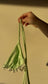 MTO Honeydew Top